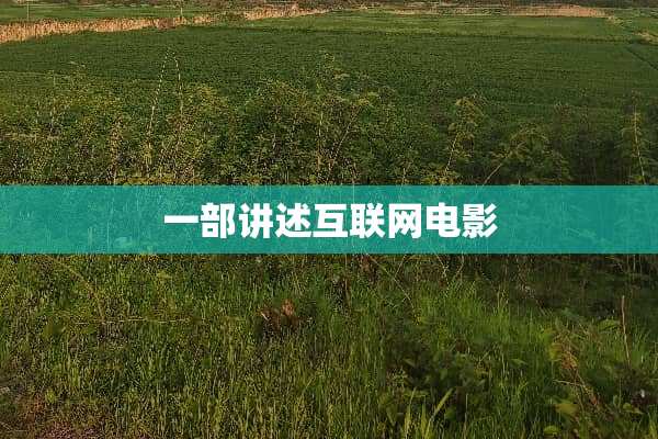 一部讲述互联网电影