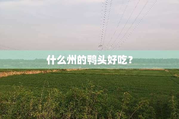 什么州的鸭头好吃？