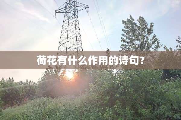 荷花有什么作用的诗句？