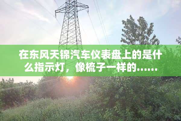 在东风天锦汽车仪表盘上的是什么指示灯，像梳子一样的……