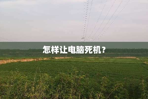 怎样让电脑死机？