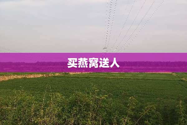 买燕窝送人