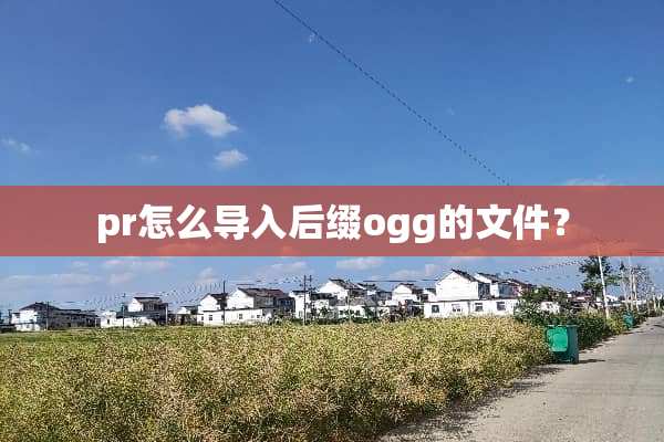 pr怎么导入后缀ogg的文件？