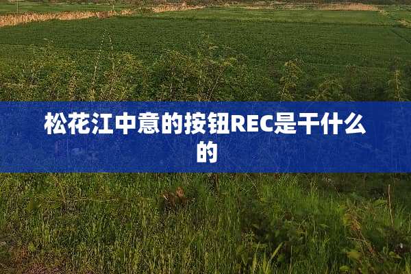 松花江中意的按钮REC是干什么的