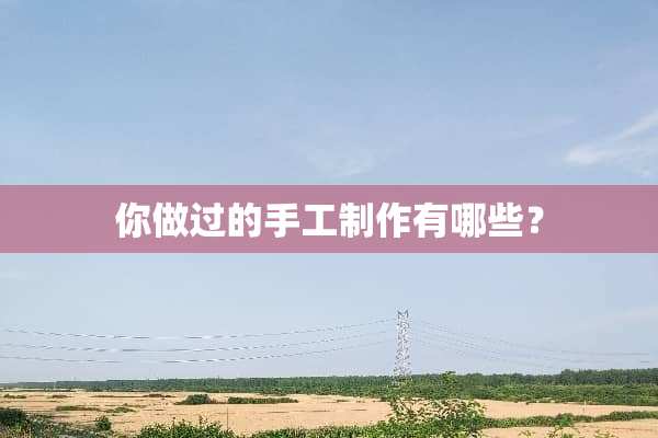 你做过的手工制作有哪些？