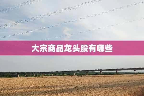 大宗商品龙头股有哪些