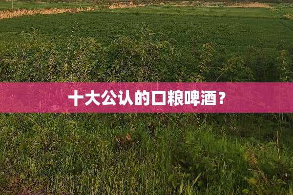十大公认的口粮啤酒？
