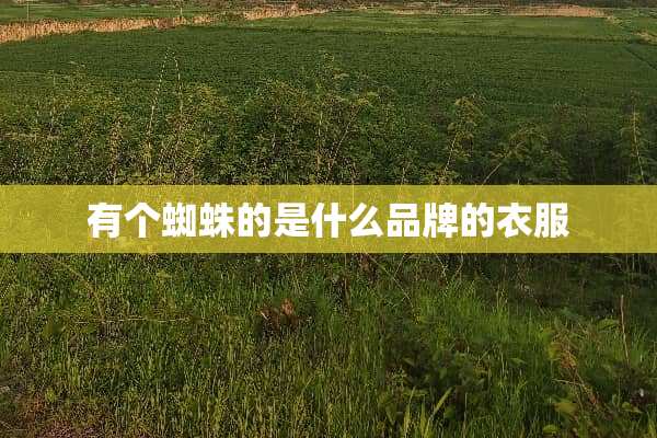 有个蜘蛛的是什么品牌的衣服