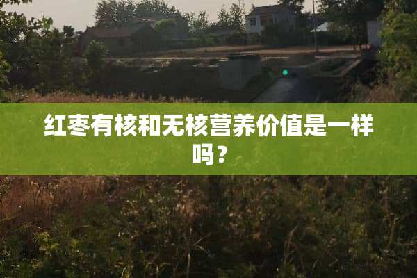 红枣有核和无核营养价值是一样吗？