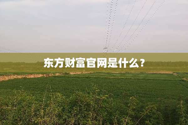 东方财富官网是什么？