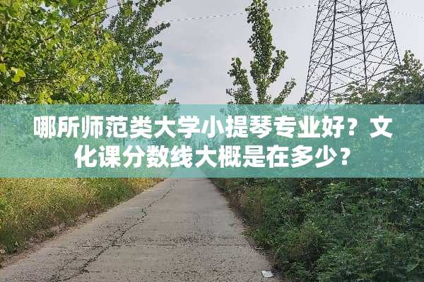 哪所师范类大学小提琴专业好？文化课分数线大概是在多少？