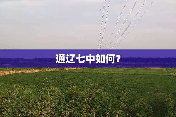 通辽七中如何？