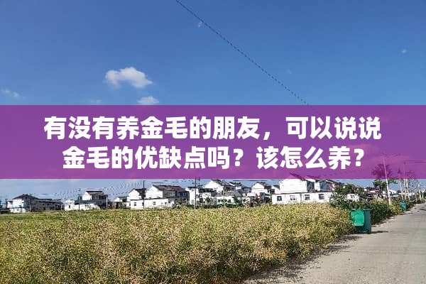 有没有养金毛的朋友，可以说说金毛的优缺点吗？该怎么养？
