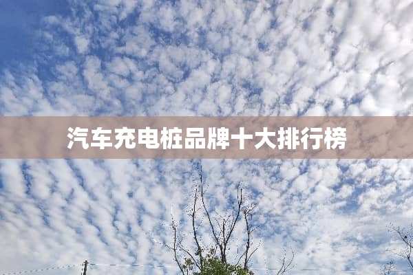 汽车充电桩品牌十大排行榜