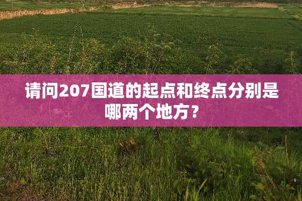 请问207国道的起点和终点分别是哪两个地方？