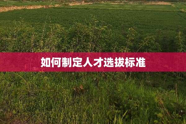 如何制定人才选拔标准