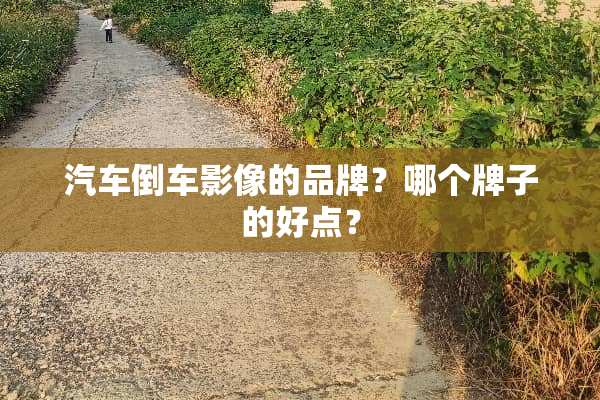汽车倒车影像的品牌？哪个牌子的好点？