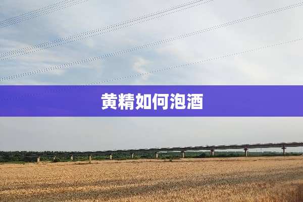黄精如何泡酒