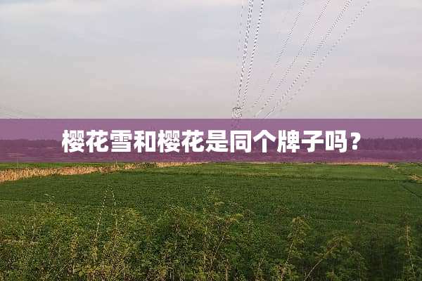 樱花雪和樱花是同个牌子吗？