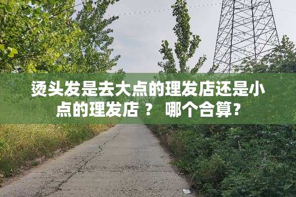 烫头发是去大点的理发店还是小点的理发店 ？ 哪个合算？