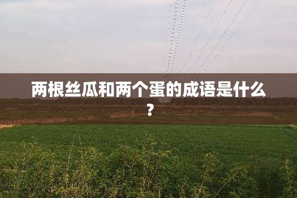 两根丝瓜和两个蛋的成语是什么？