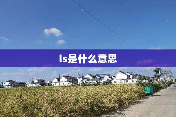 ls是什么意思