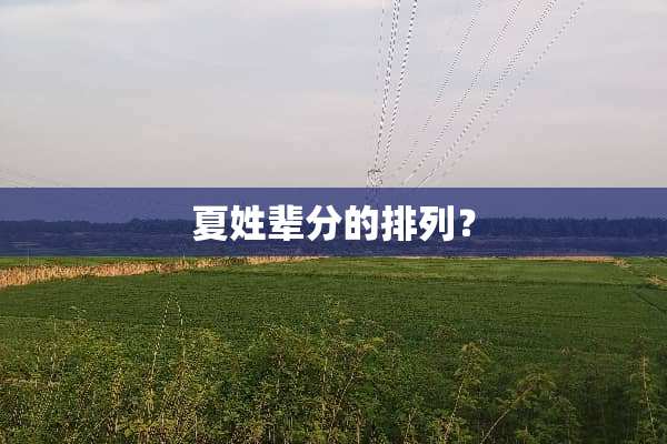 夏姓辈分的排列？