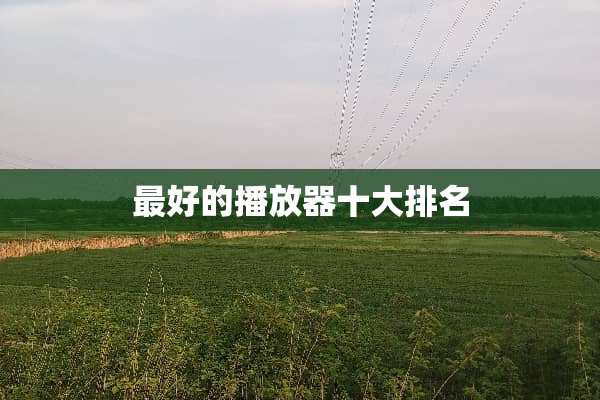 最好的播放器十大排名