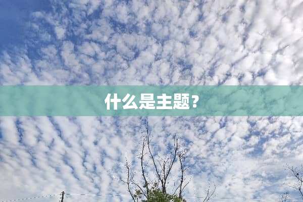 什么是主题？