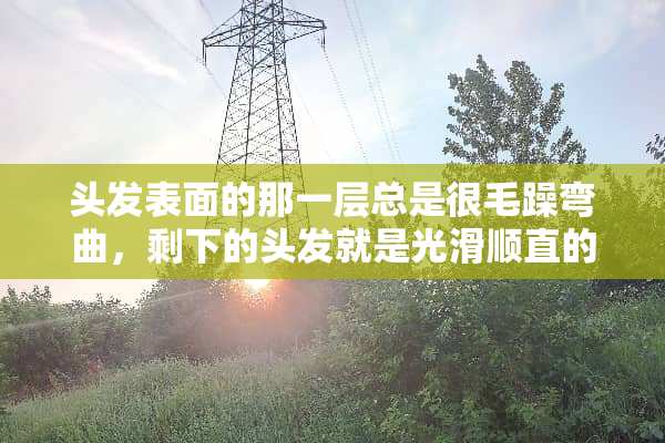 头发表面的那一层总是很毛躁弯曲，剩下的头发就是光滑顺直的，要怎么改变这种状态？