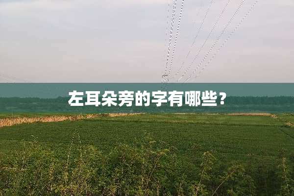 左耳朵旁的字有哪些？