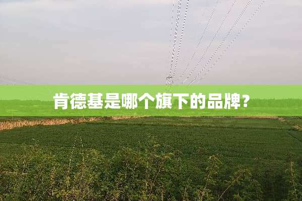 肯德基是哪个旗下的品牌？