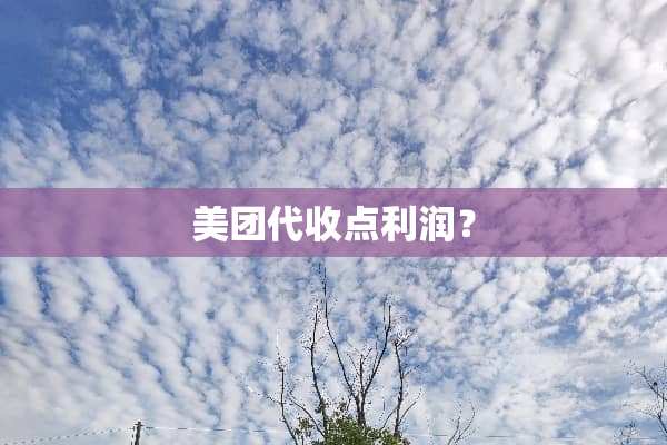 美团代收点利润？