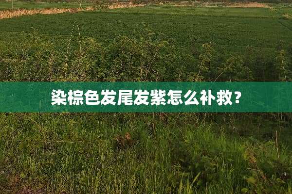 染棕色发尾发紫怎么补救？
