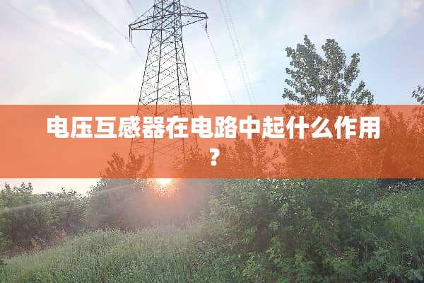 电压互感器在电路中起什么作用？