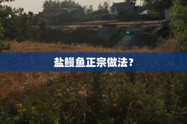 盐鳗鱼正宗做法？