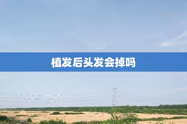 植发后头发会掉吗