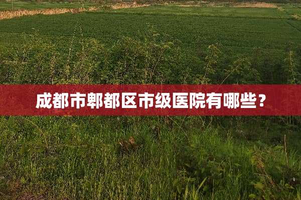 成都市郫都区市级医院有哪些？