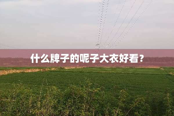 什么牌子的呢子大衣好看？