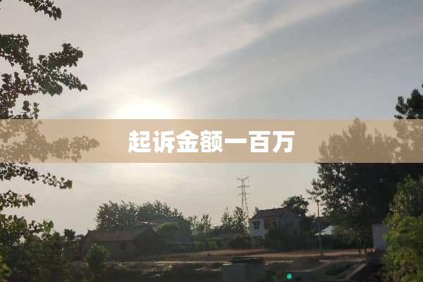 起诉金额一百万