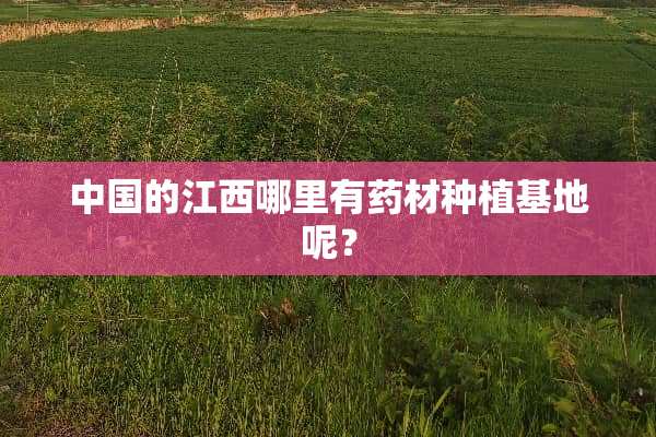 中国的江西哪里有药材种植基地呢？