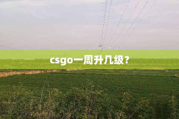 csgo一周升几级？
