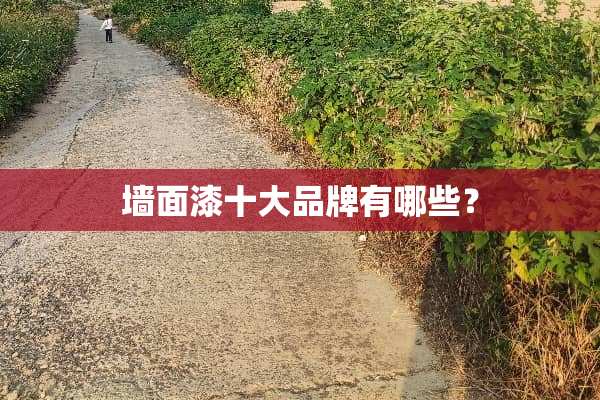 墙面漆十大品牌有哪些？