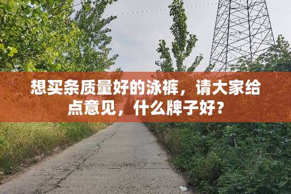 想买条质量好的泳裤，请大家给点意见，什么牌子好？
