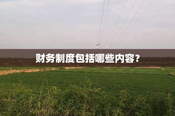 财务制度包括哪些内容？