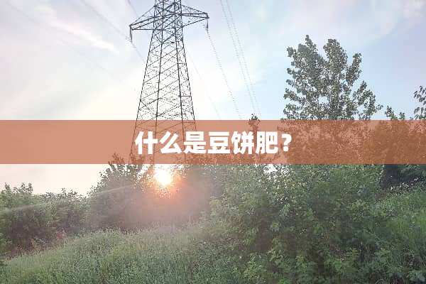 什么是豆饼肥？