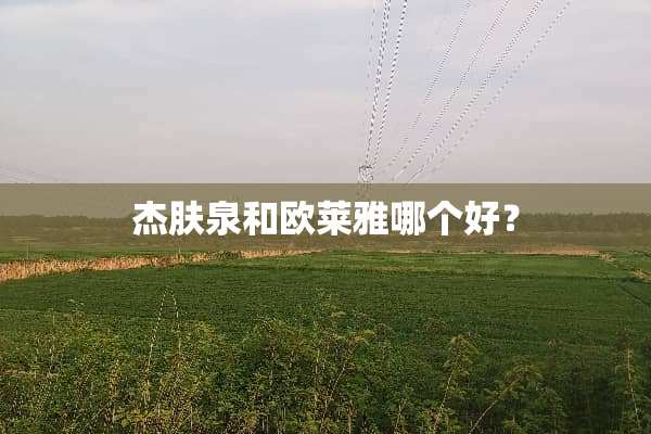 杰肤泉和欧莱雅哪个好？