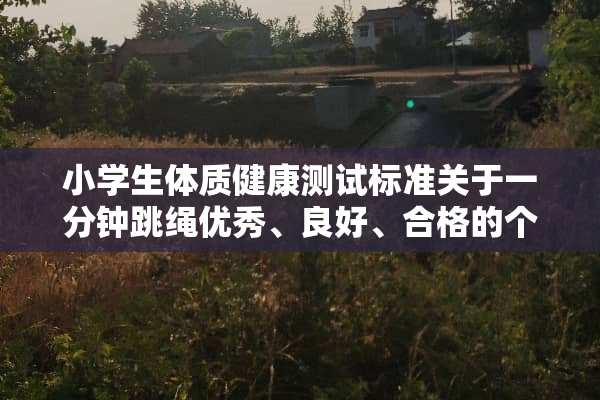 小学生体质健康测试标准关于一分钟跳绳优秀、良好、合格的个数各是多少？