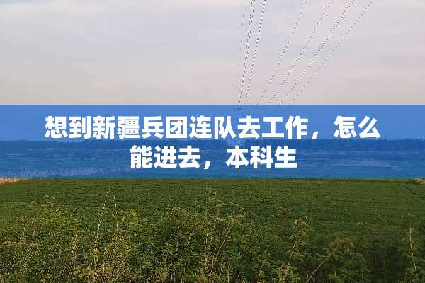 想到新疆**连队去工作，怎么能进去，本科生