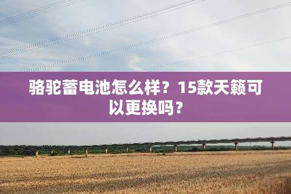 骆驼蓄电池怎么样？15款天籁可以更换吗？